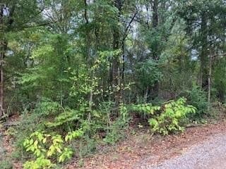 TBD 17 Westwood Dr