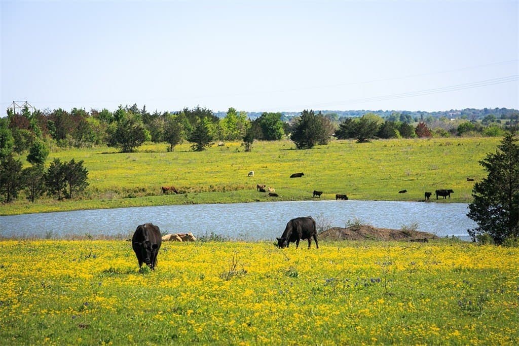 187 Acres Chadwick-Hogan Road