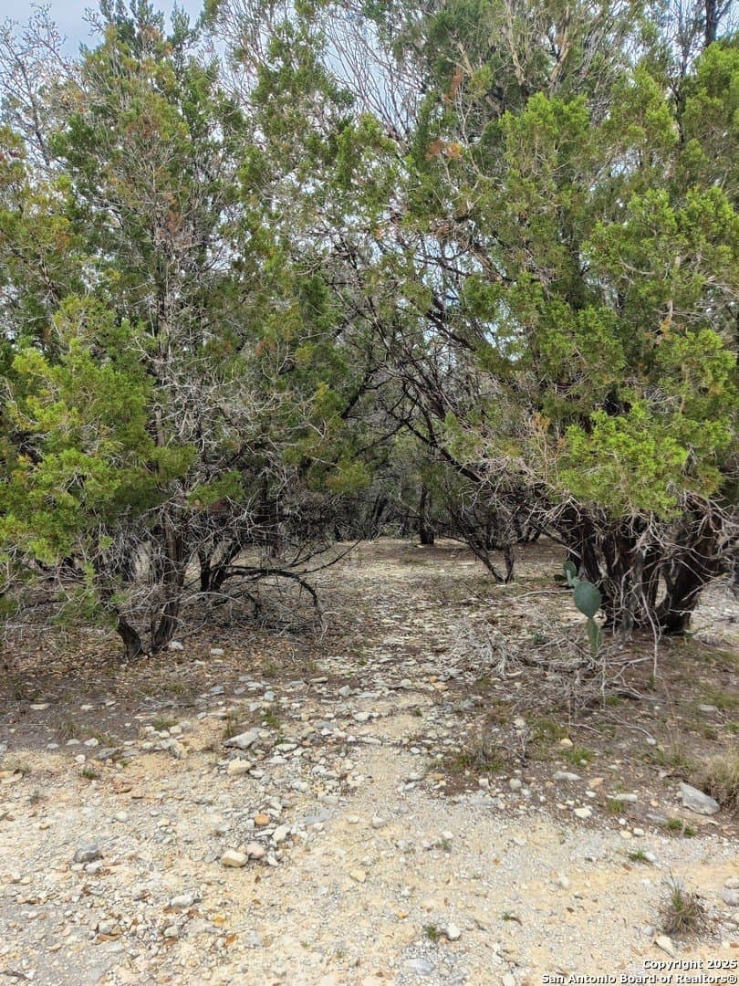 Overland Trail