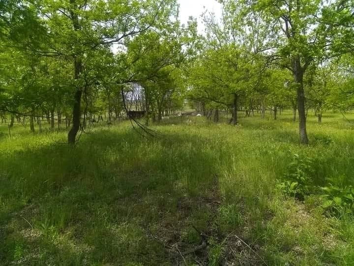 1209 County Road 416