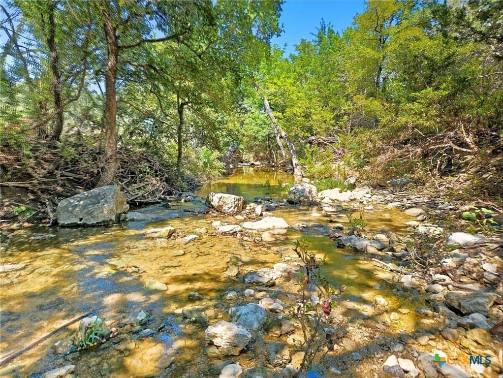 TBD-176 Acres FM 116 Road