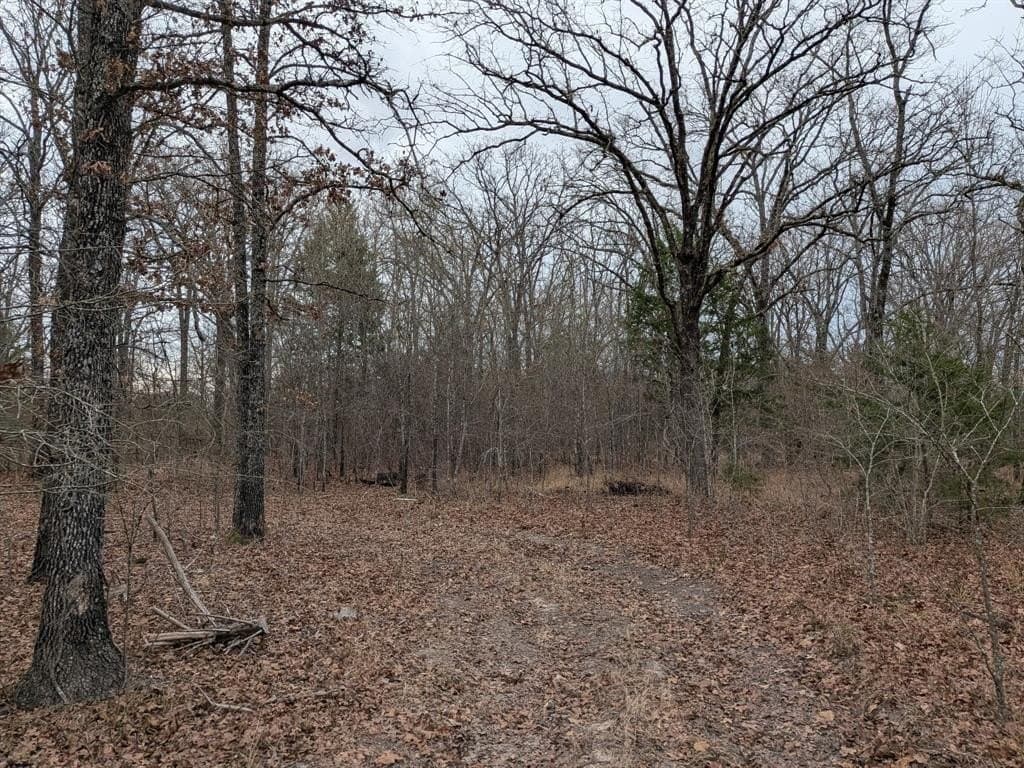 179 RS County Road 2572