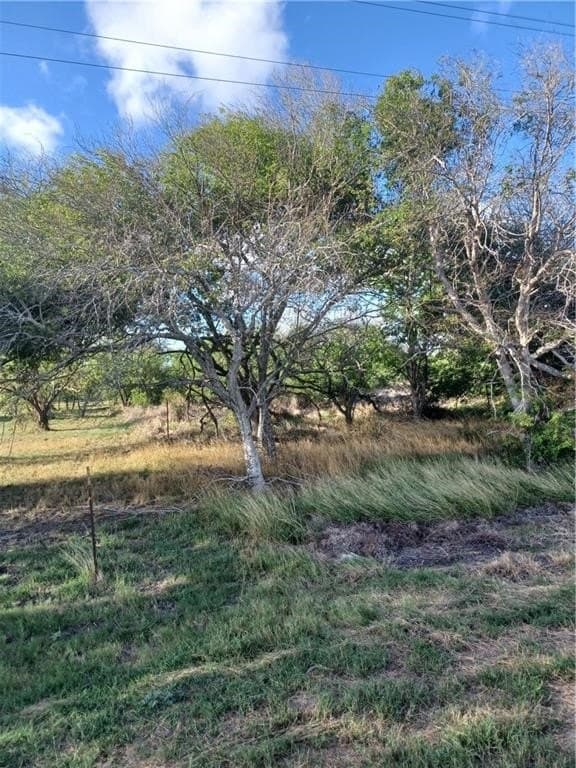 County rd 1360 & fm 631 lot: 1