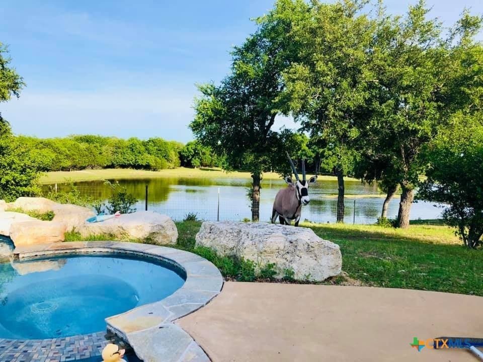 6101 County Road 208
