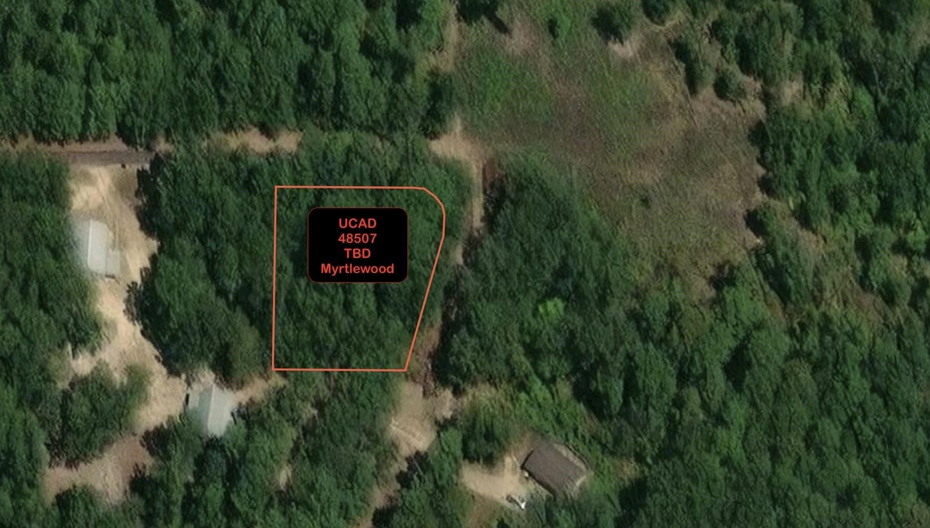 Tbd Myrtlewood