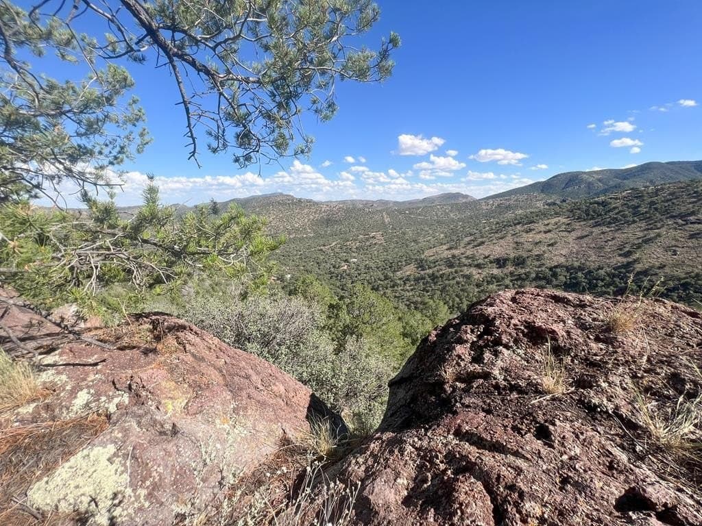 205 Low Meadow Trail