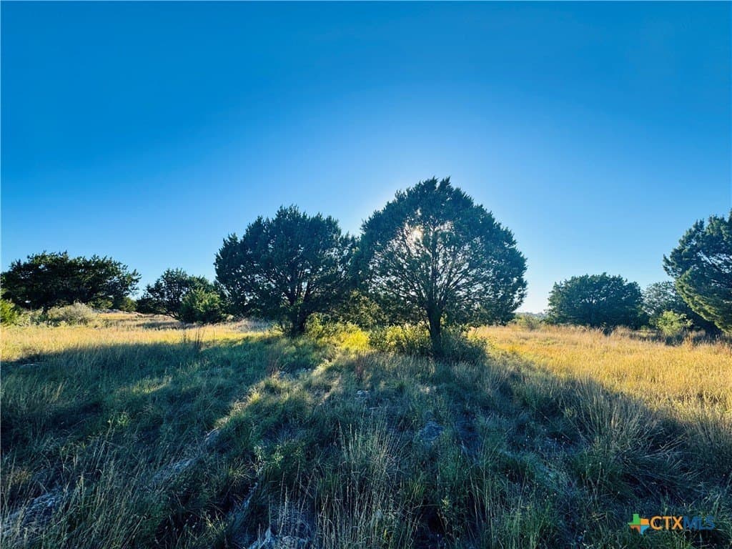 22051 Long Shot lot: 22051