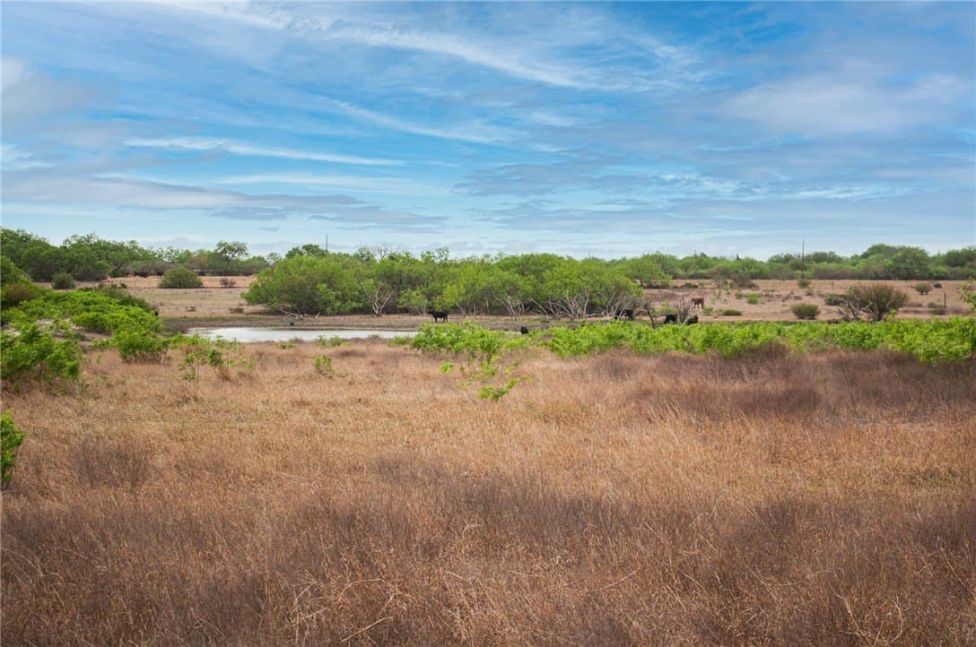 FM 738 lot: 1