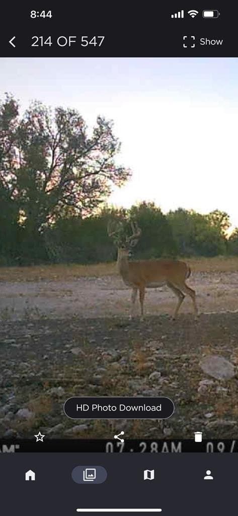 1019 Whitetail Trail lot: 11