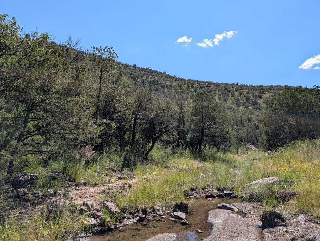 518 Squaw Valley Trail