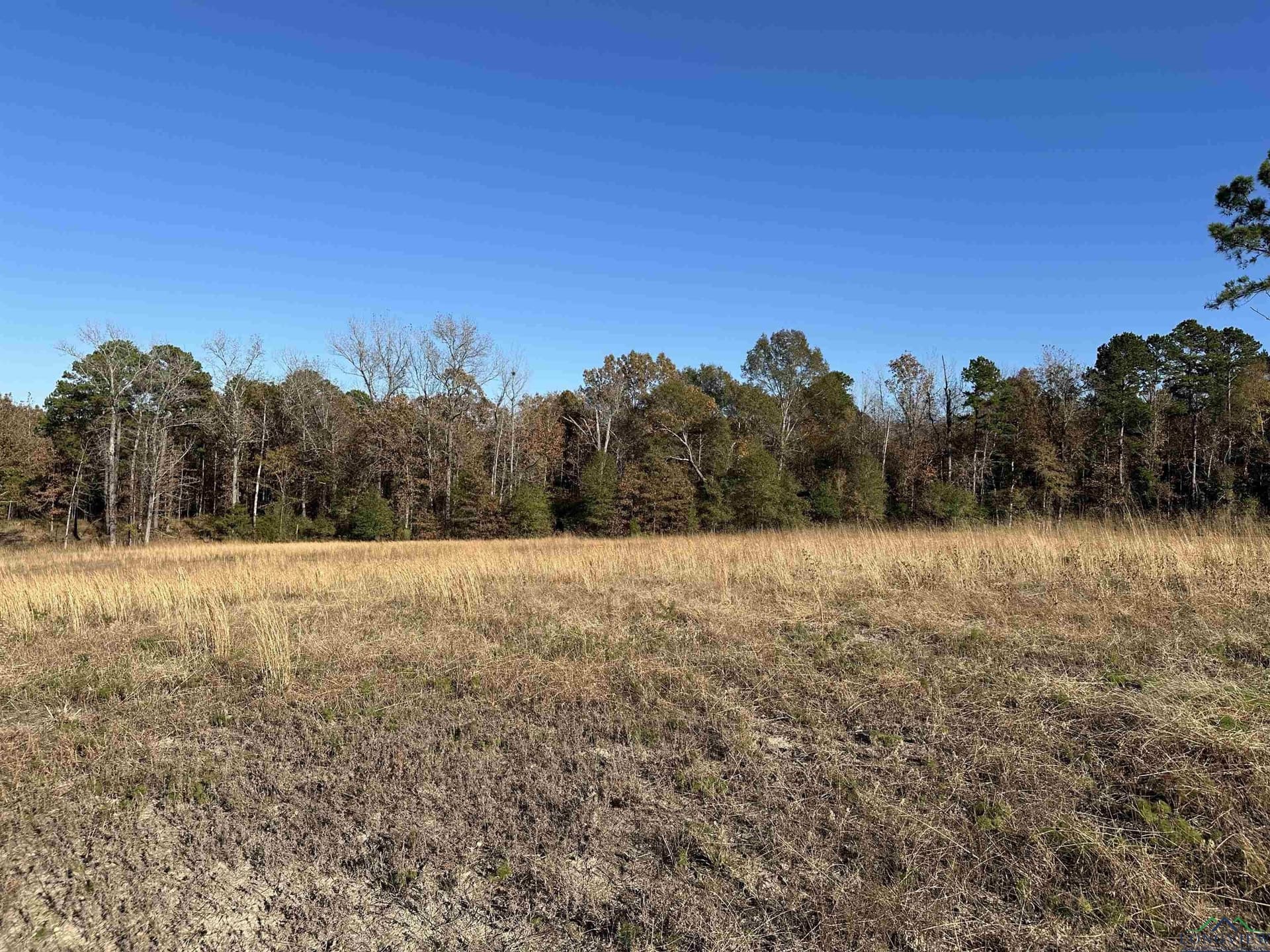 178 Eagle Creek Dr