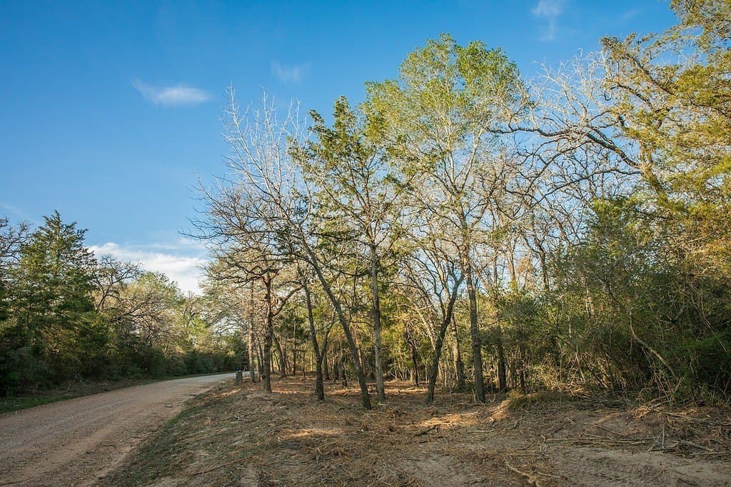 TBD Schoenau Road