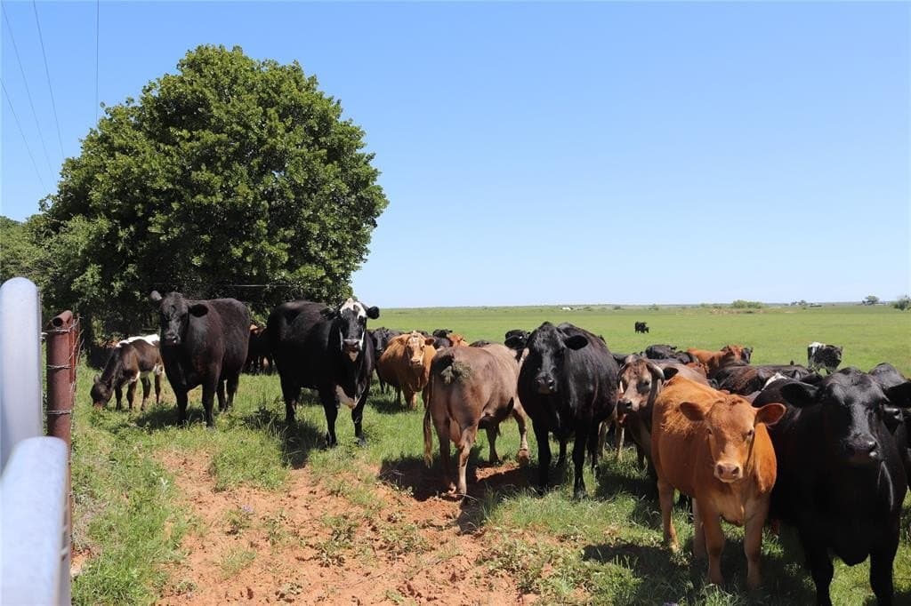 80 Acres South Deer Creek Rd