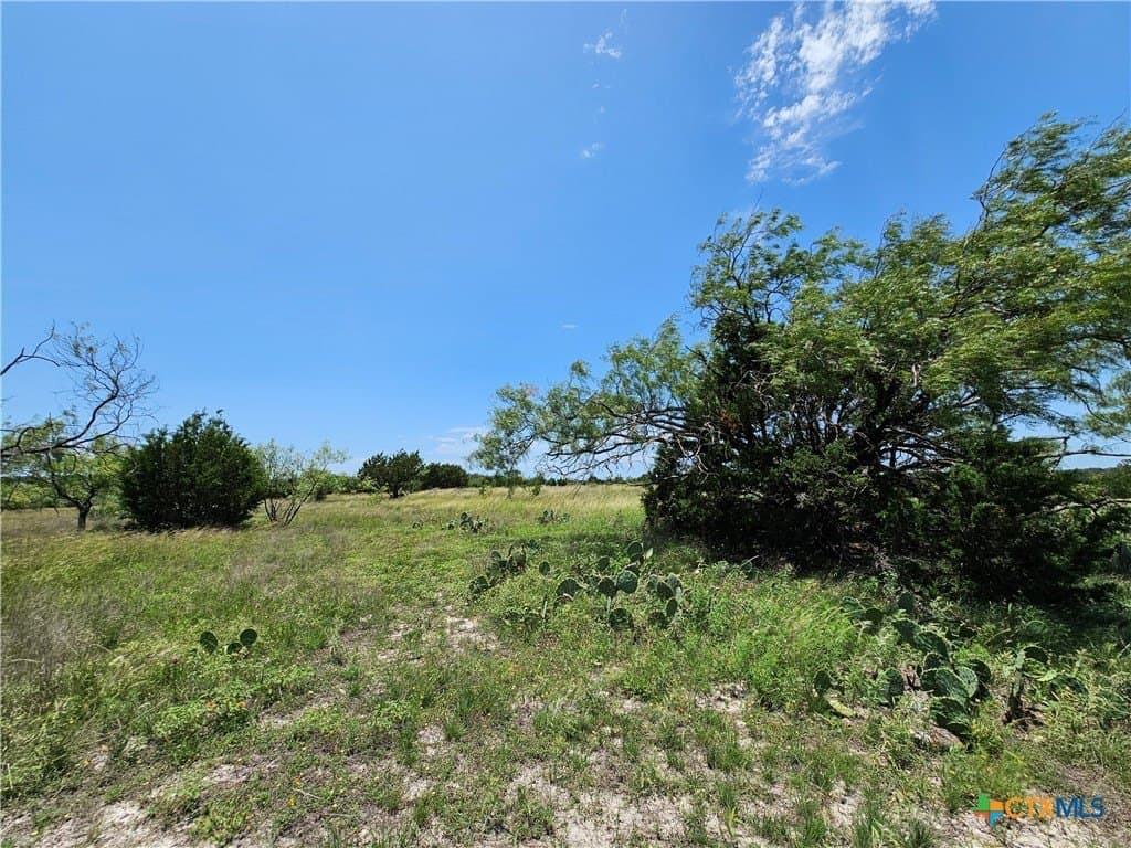 Shin Oak Drive lot: 111