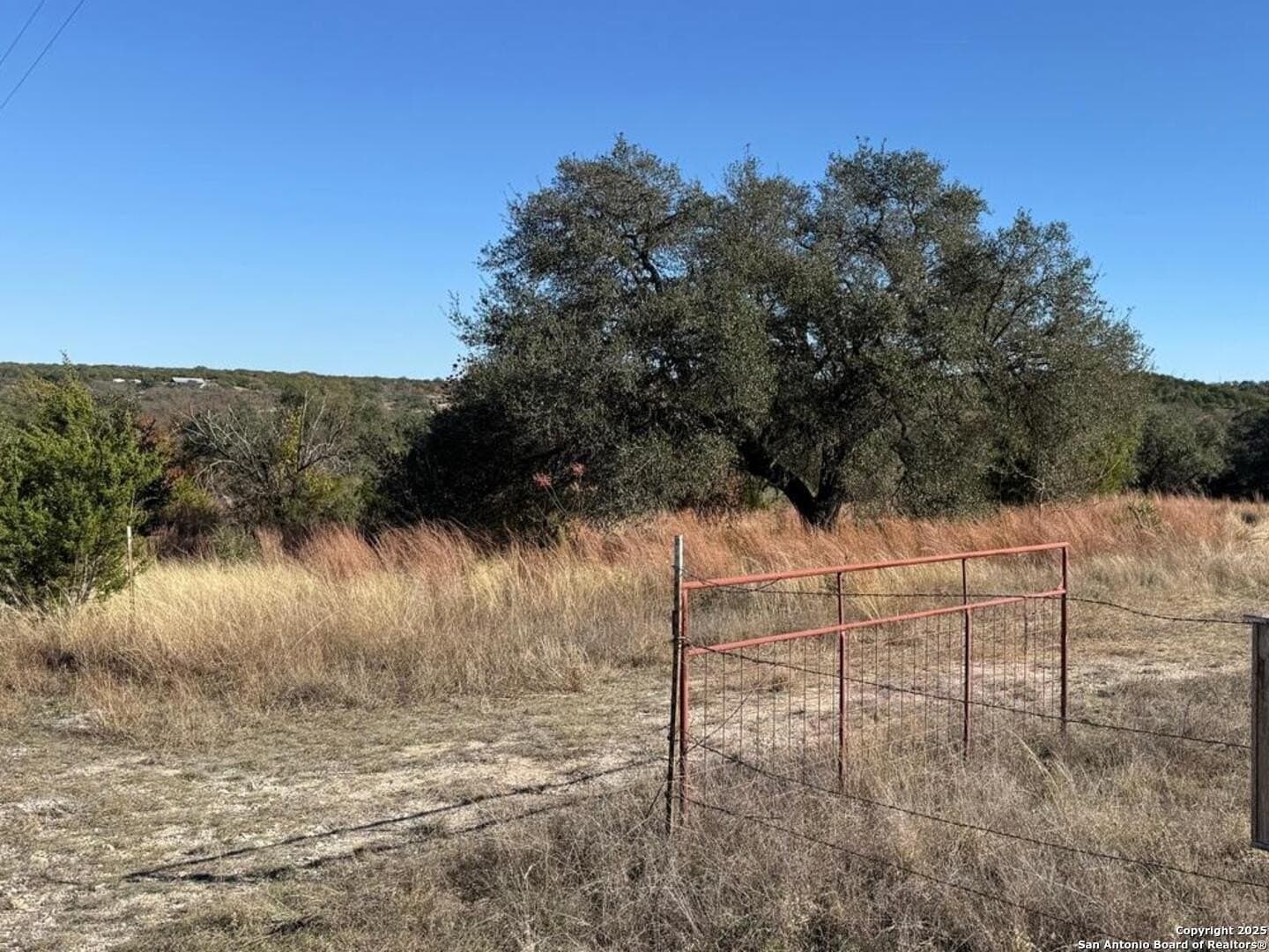 Dog Run