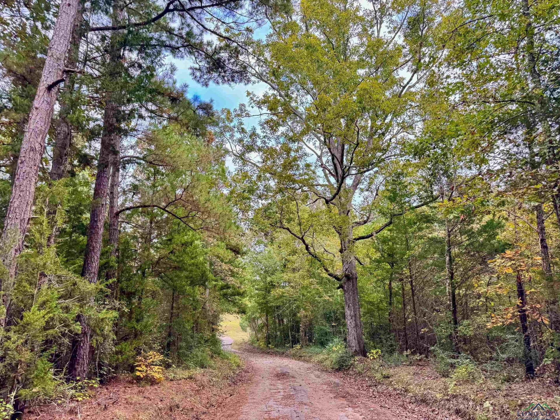 County Road 2367