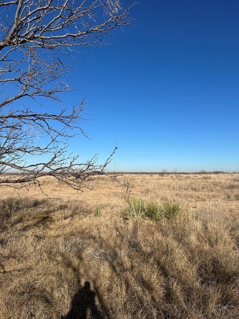 Round Top Road