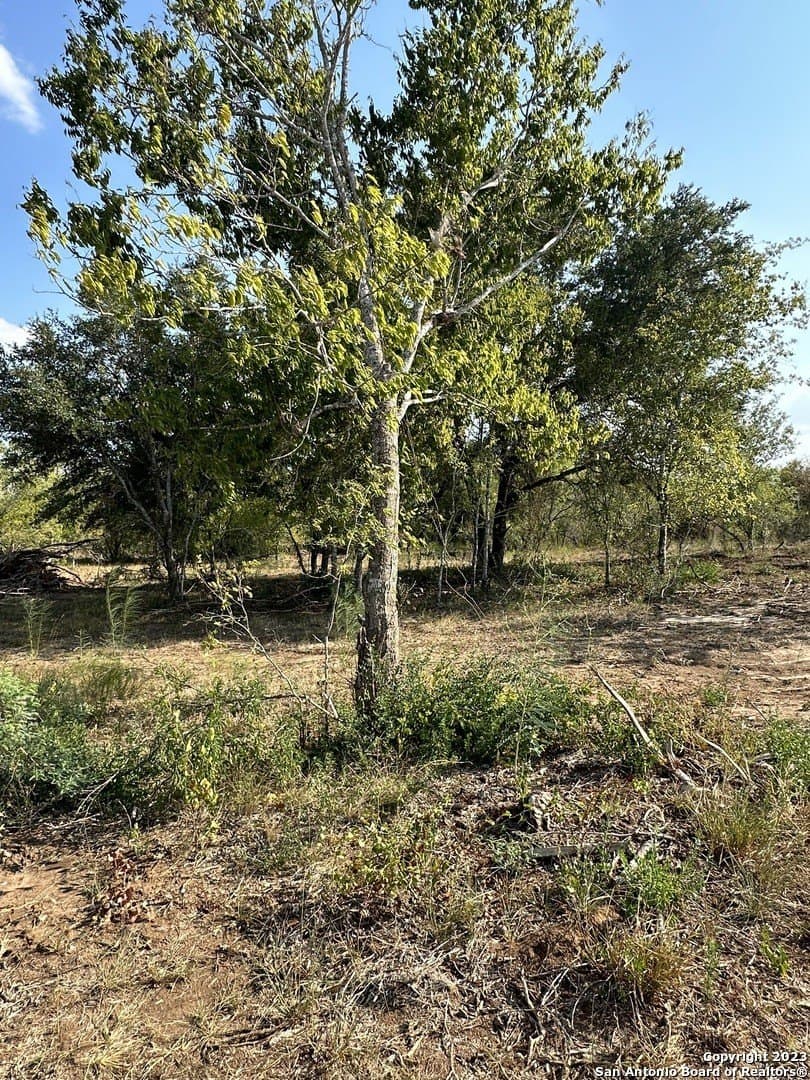 5894 Fm 1107 Unit B-Tract 1