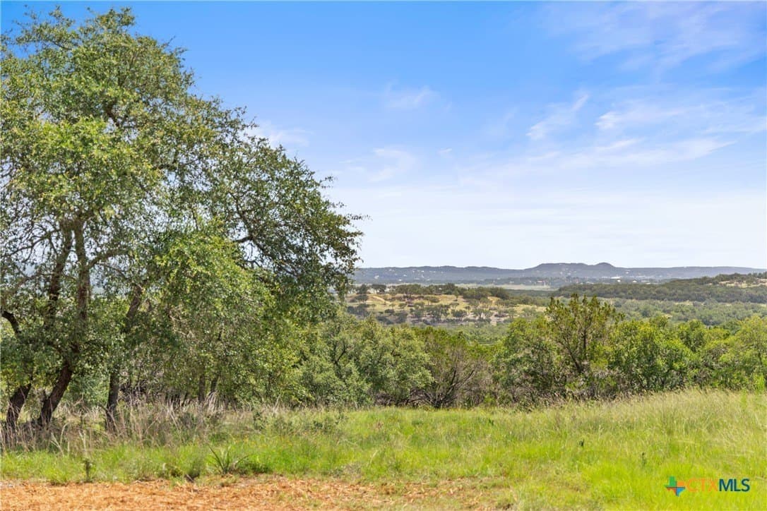 2164 Andalusia lot: 54