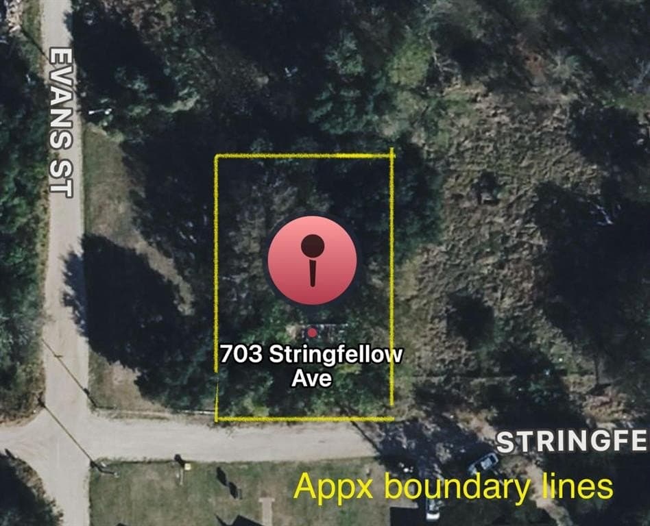 703 Stringfellow Avenue