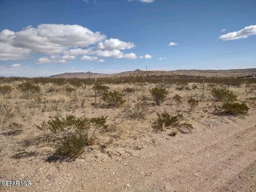 PN-58703 San Felipe Avenue