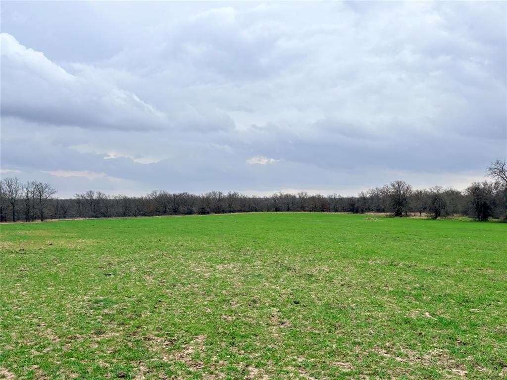 3187 Elenburg Road
