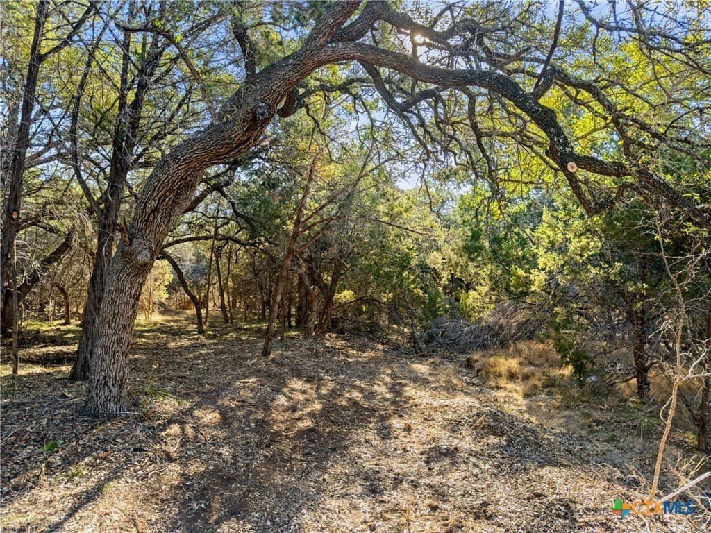 2095 Desiree Street lot: 550