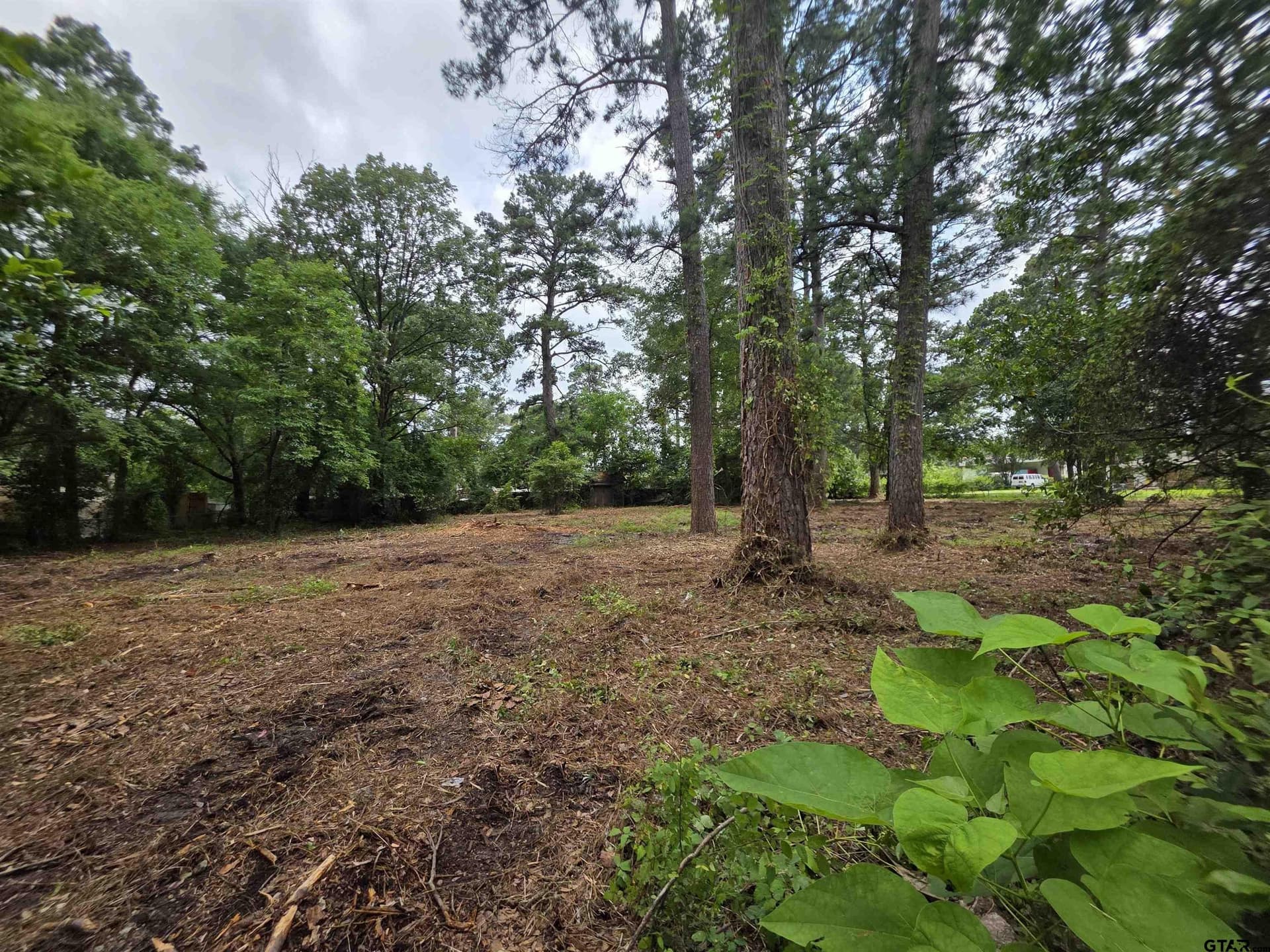 20812 Forest Grove Drive