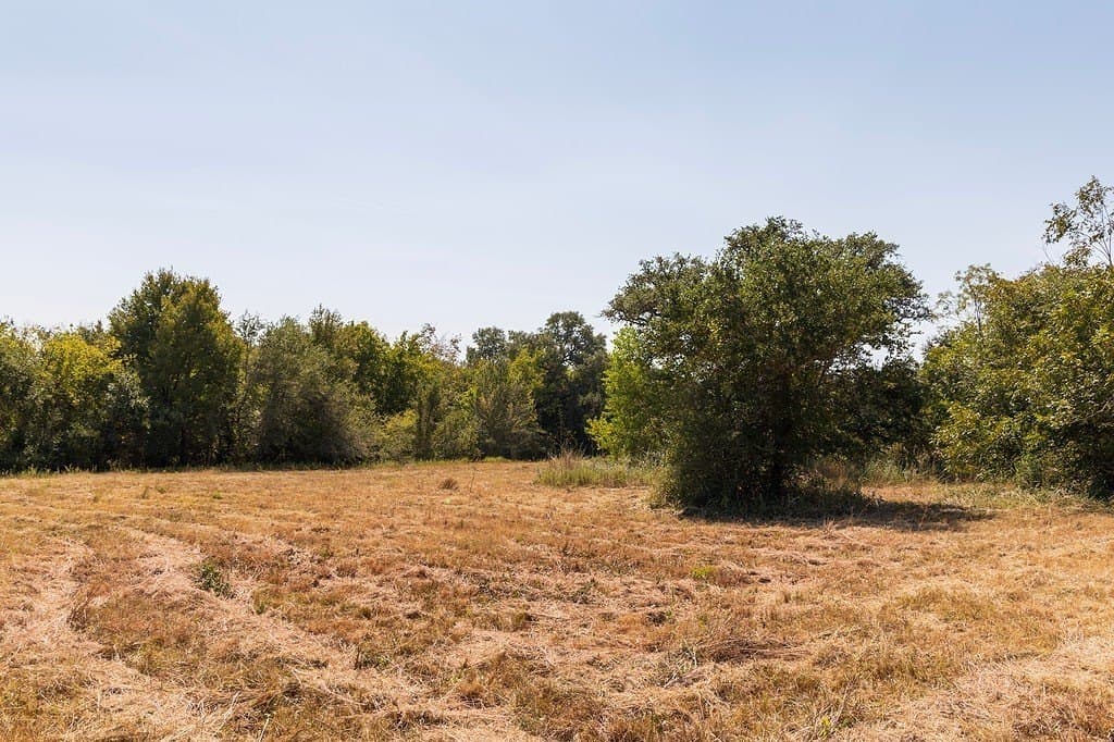 9487 Bauer Road