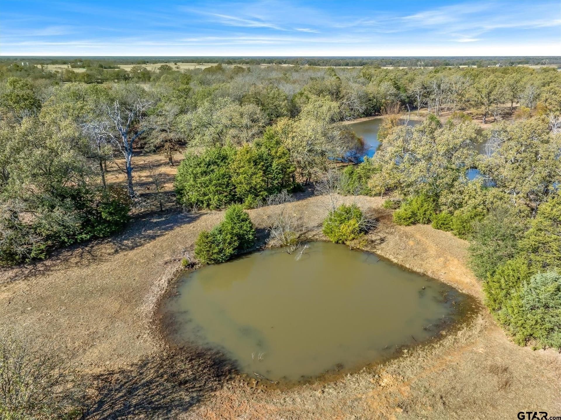 66.00 (+/-) Acres VZ County Road 2145