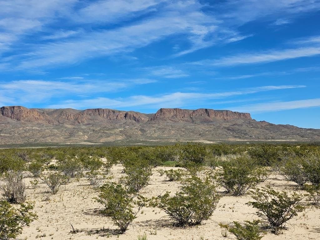 4775 BCD Creosote Pass