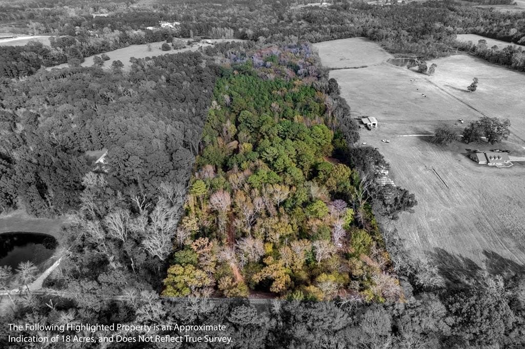590 An County Road 169