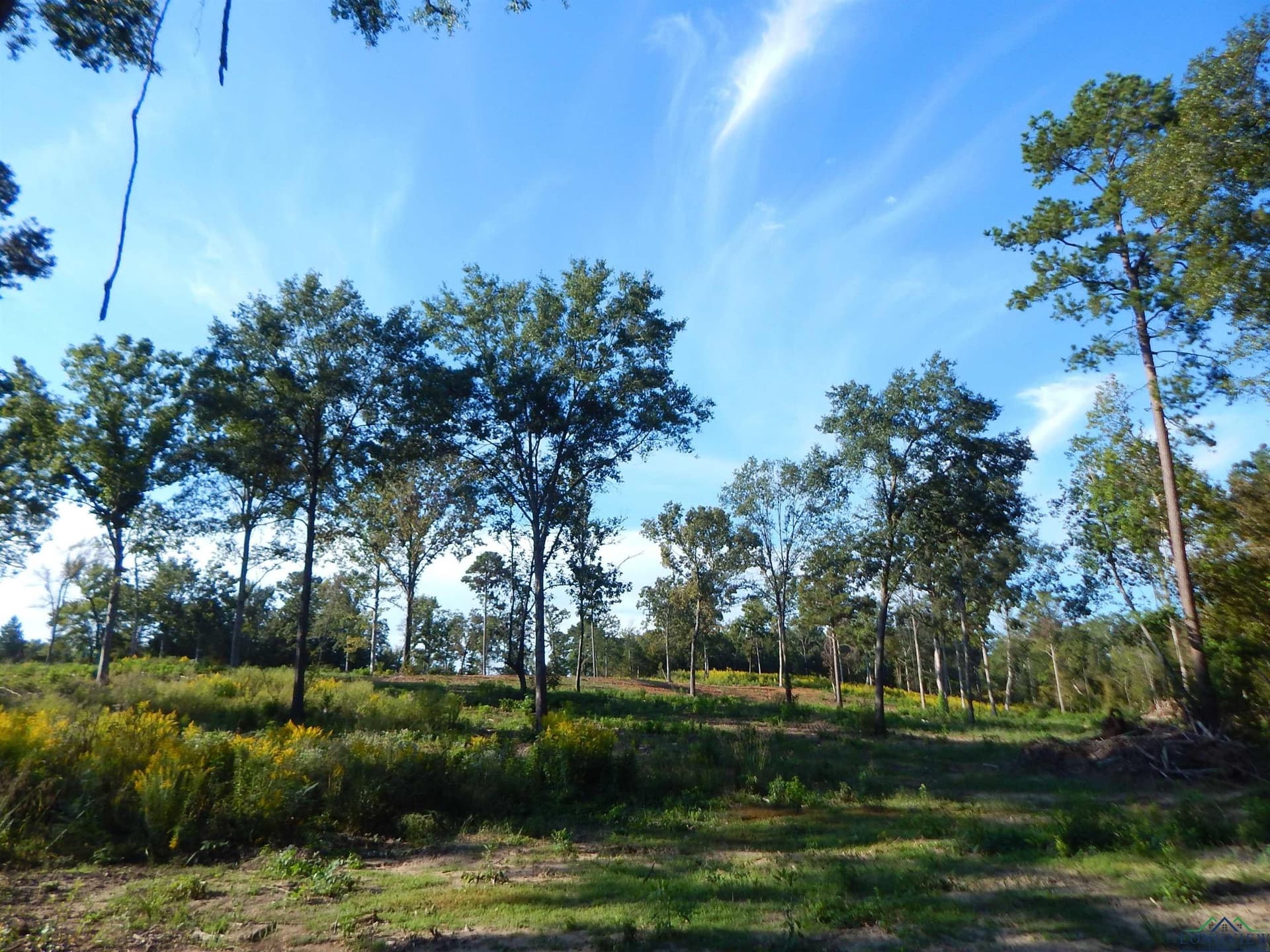 Tbd 7.57 Acres HWY 259