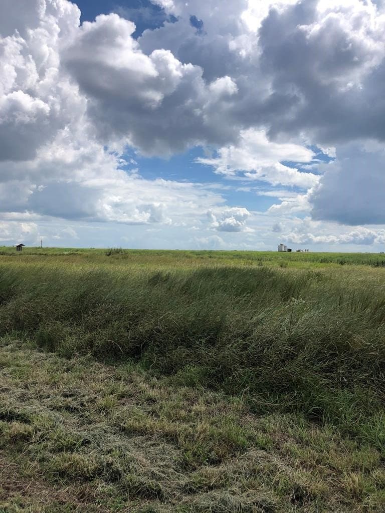 Lot 166 Coral Lane