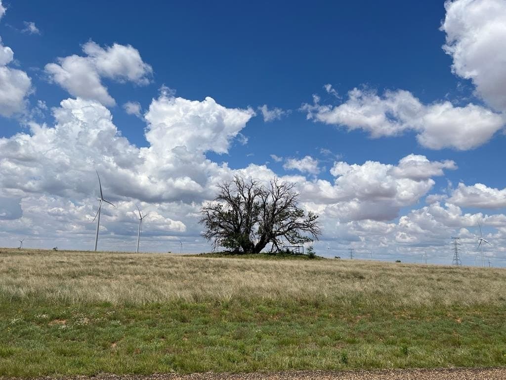 Round Top Road