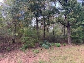 Tbd Daniel Boone Lane