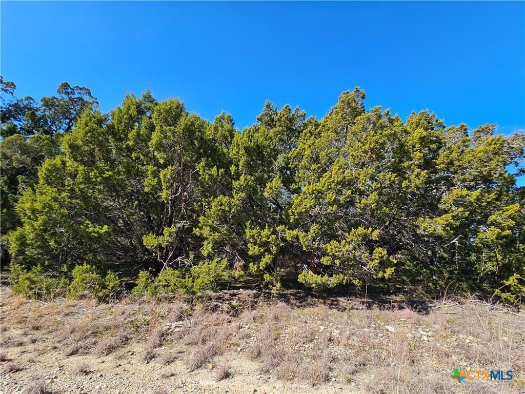 County Road 3831 lot: 17
