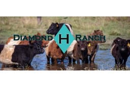 Business logo