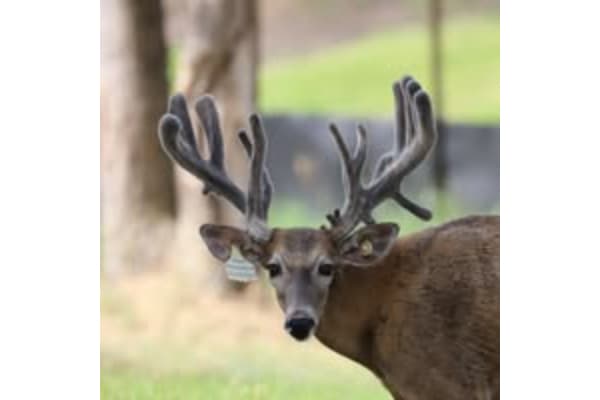 RW Trophy Ranch Ltd