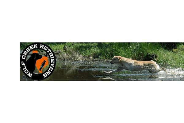 Wolf Creek Retrievers