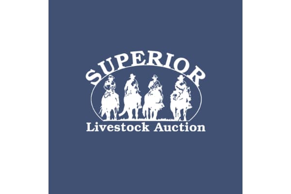 Superior Livestock Auction