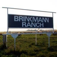 Business logo
