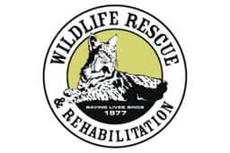 Business logo