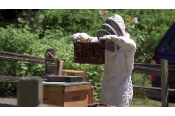 Happy Bee Solutions