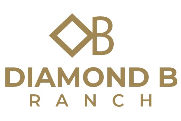 Diamond B Cattle
