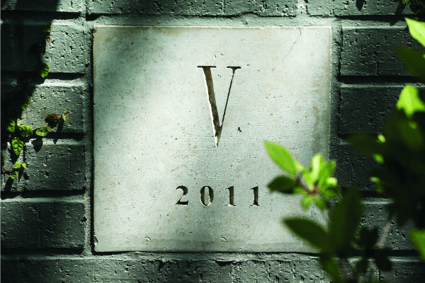 V Fine Homes