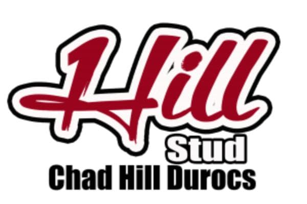 Chad Hill Durocs & Hill Stud