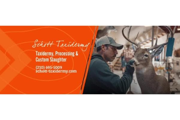 Schott Taxidermy
