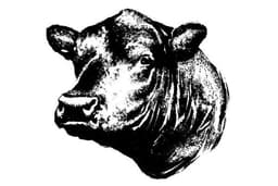 Business logo