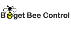 Budget Bee Control